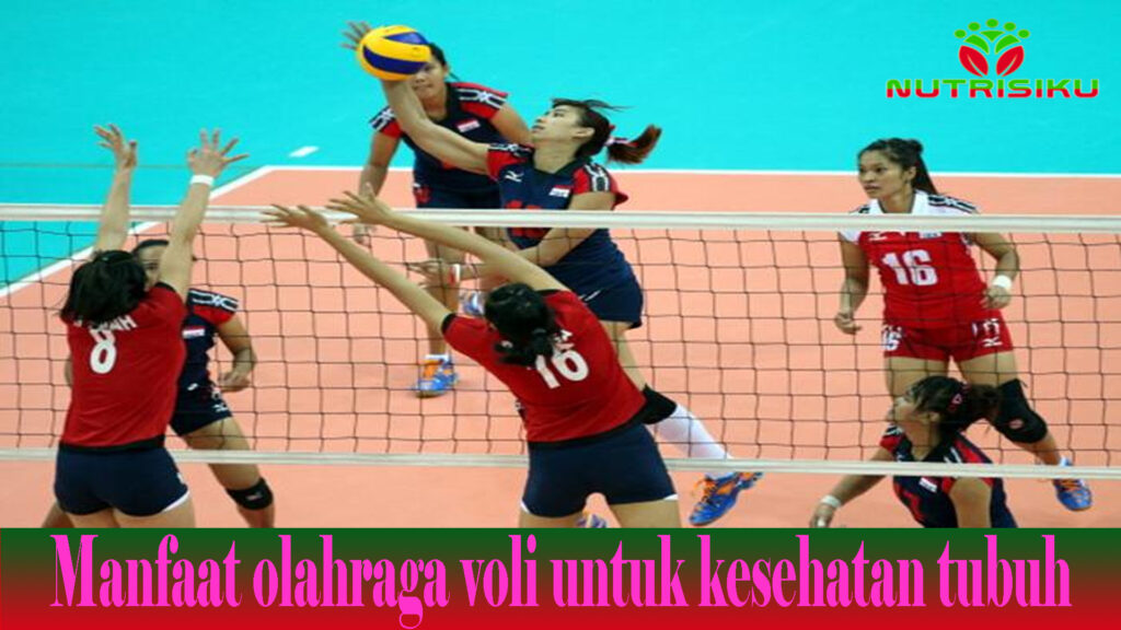 Manfaat olahraga voli untuk kesehatan tubuh