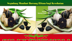 Segudang Manfaat Bawang Hitam bagi Kesehatan