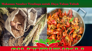 Makanan Sumber Tembaga untuk Daya Tahan Tubuh