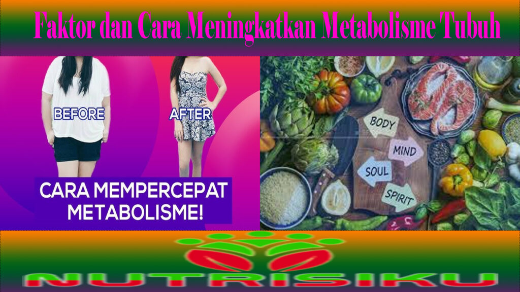 Faktor dan Cara Meningkatkan Metabolisme Tubuh