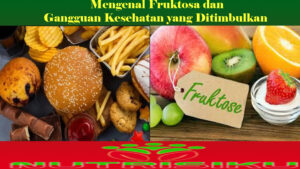 Mengenal Fruktosa dan Gangguan Kesehatan yang Ditimbulkan