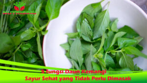 5 fungsi Daun Kemangi, Sayur Sehat yang Tidak Perlu Dimasak