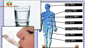 Cara Minum Air Putih Yang Seperti  Ini Bisa Turunkan Berat Badan    