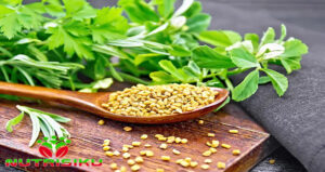 Inilah Manfaat Fenugreek untuk Diabetes