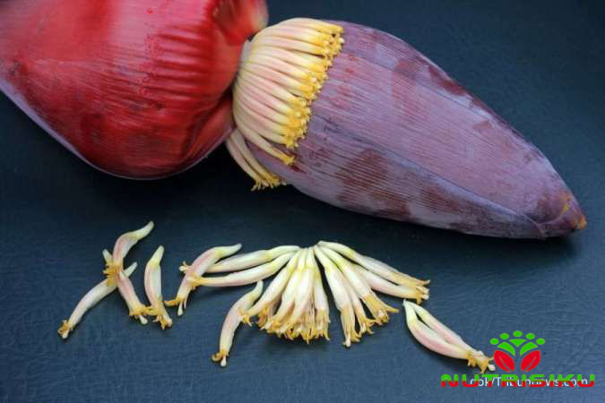 Khasiat Jantung Pisang: Superfood dari
